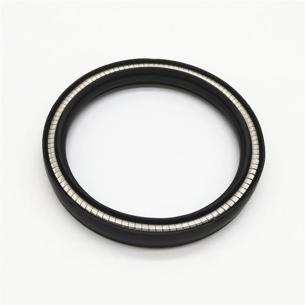 Characteristics of spring energized seal